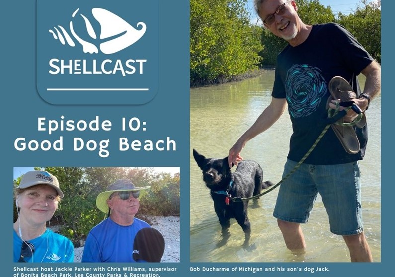 shellcast dog beach episode