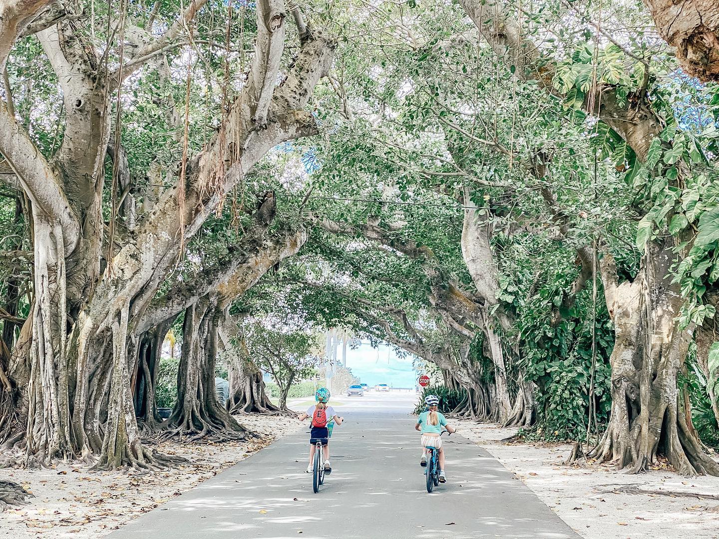 two children biking down banyan street