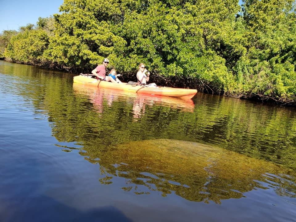 Gift Shop  Manatee Kayaking Company