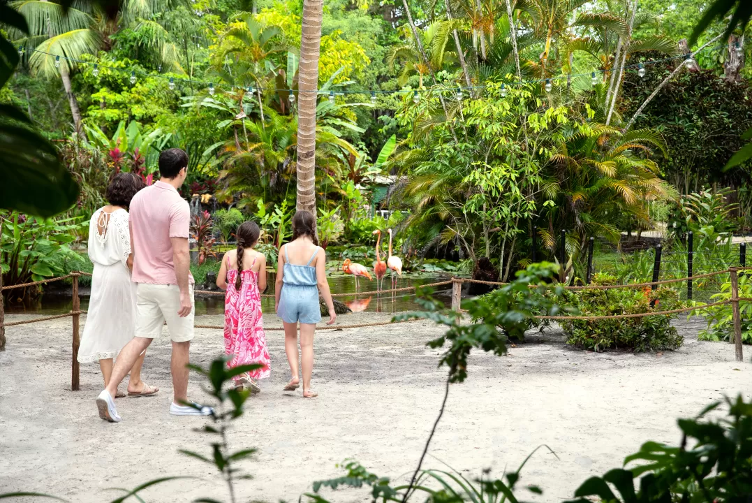 Familie, die mit dem Rücken zur Kamera steht und einen Flamingo im seichten Wasser von einem Sandstrand in Wonder Gardens sieht