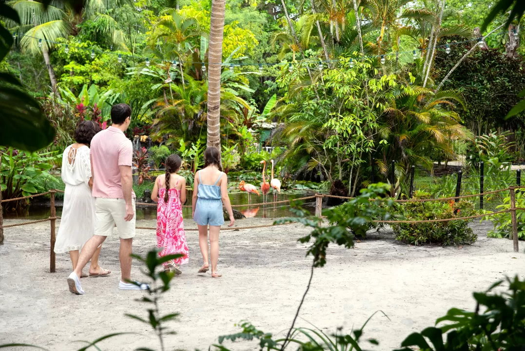 Familia de pie de espaldas a la cámara mirando un flamenco en las aguas poco profundas de una playa de arena en Wonder Gardens