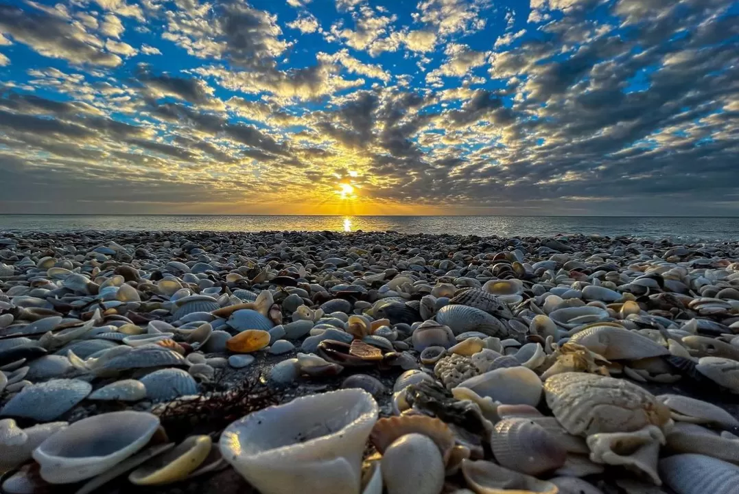 shells on the beach as the sun sets