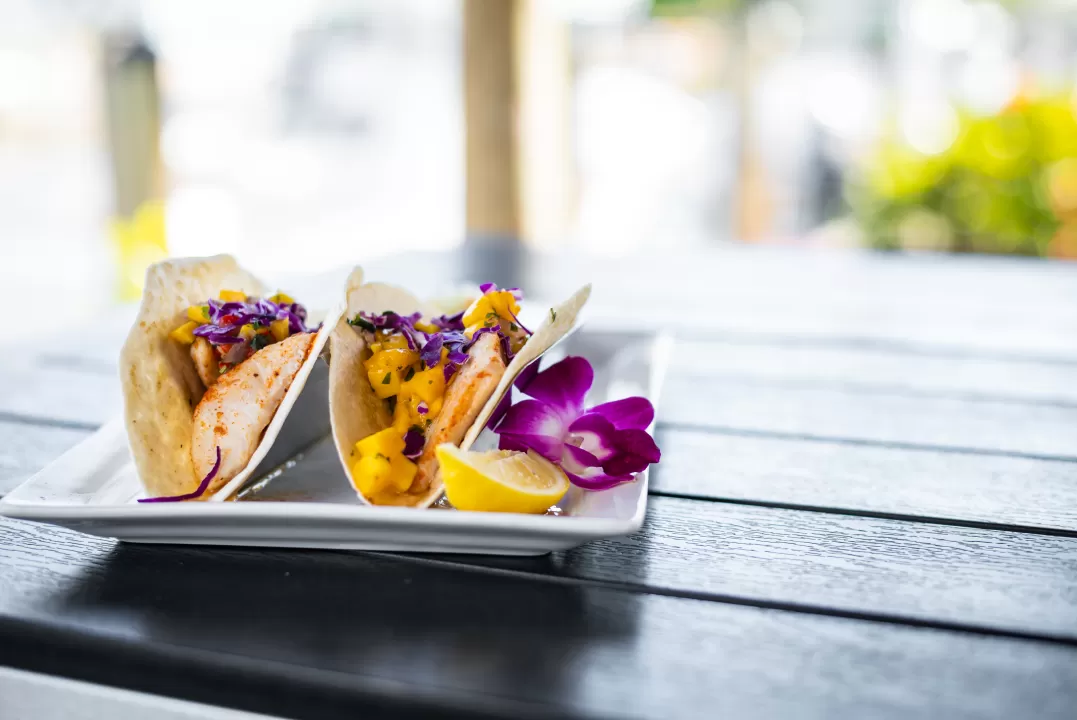 fish tacos on plate on table