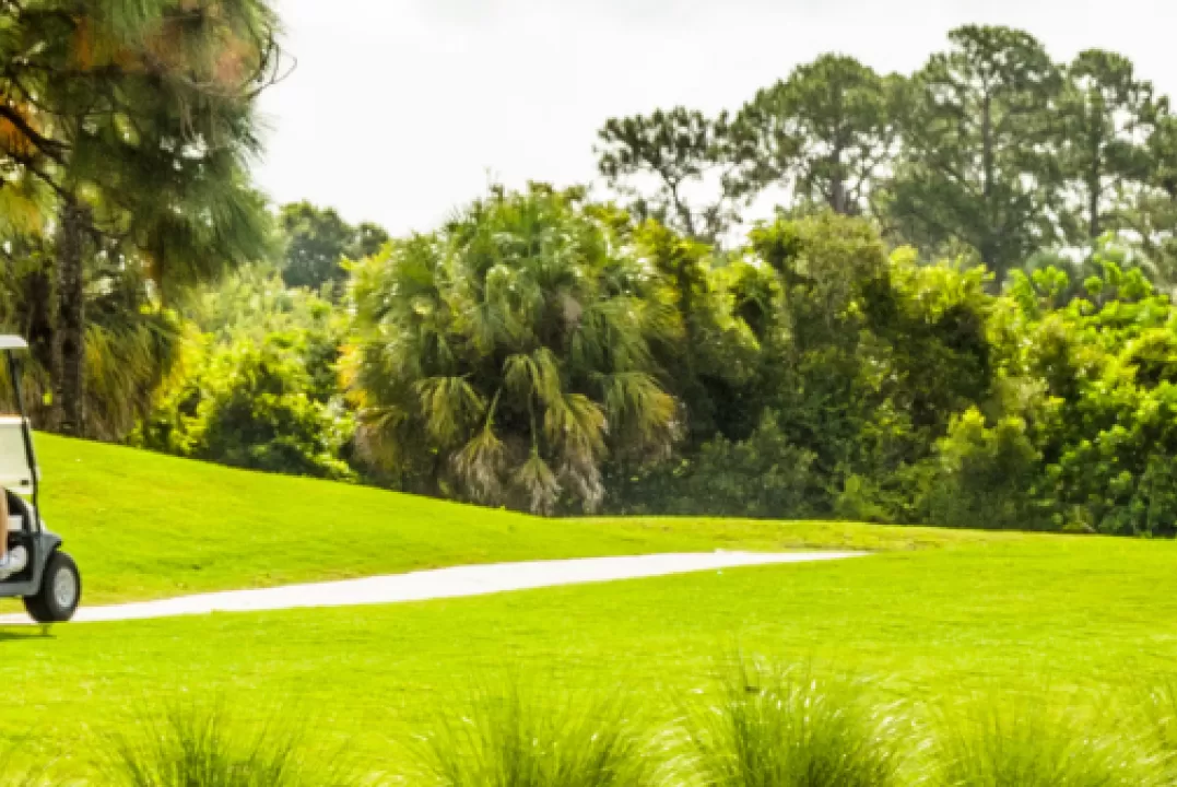 a golf cart drives on a path in between holes.