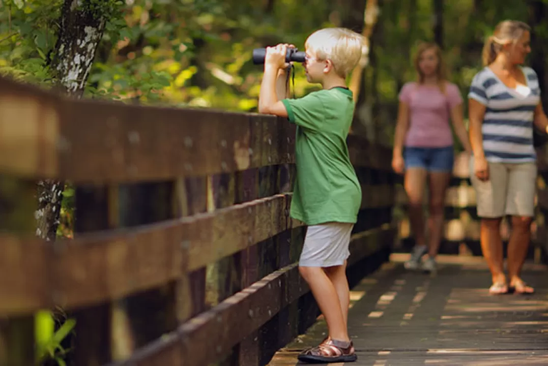 Enfant utilisant des jumelles sur une promenade