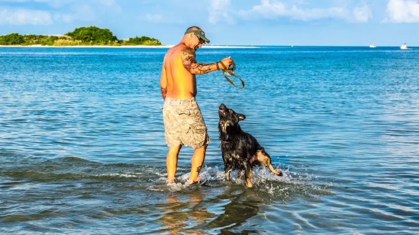 Parc de la plage des chiens