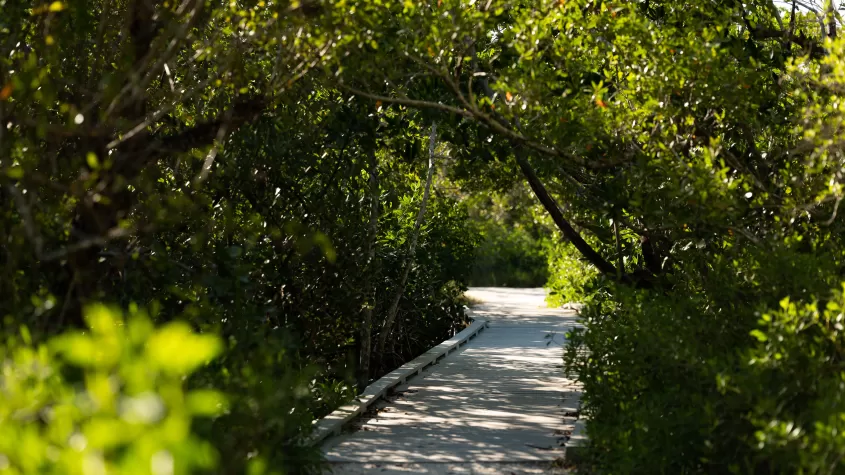 Parc de la pointe Bowditch