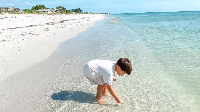 Gasparilla Island State Park
