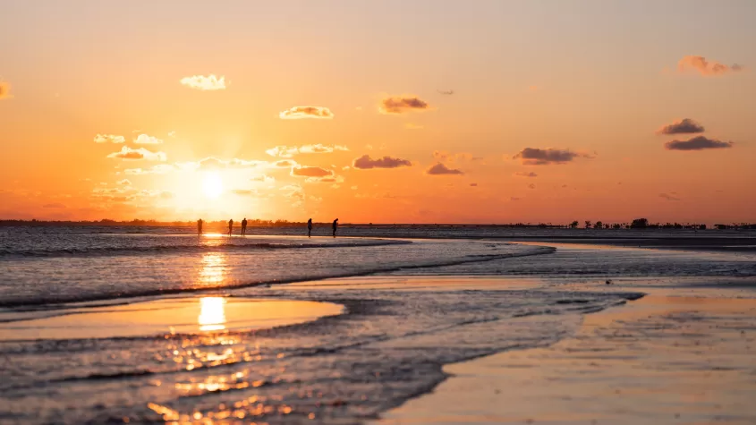 Strand von Bunche