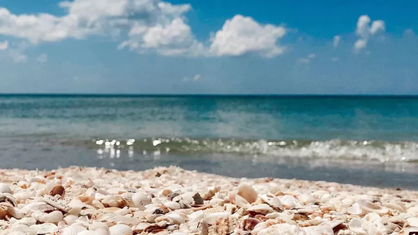 Plage de Turner