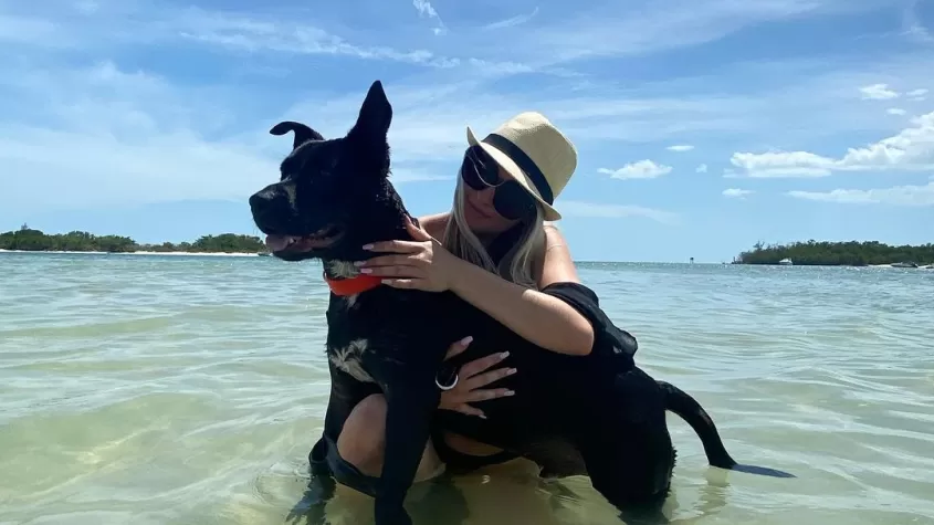 Parque de playa para perros