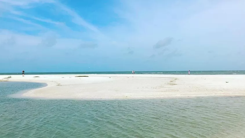 Parque de Little Hickory Island