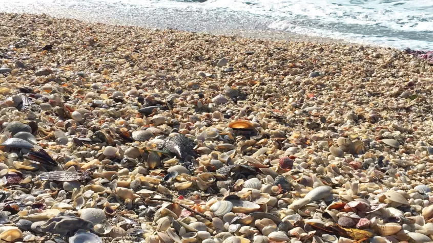 Parque de la playa de Bowman