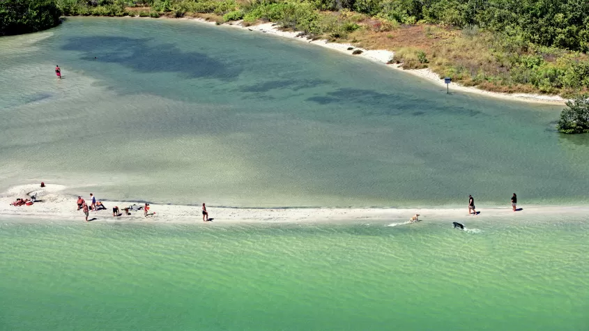 Parque de playa para perros