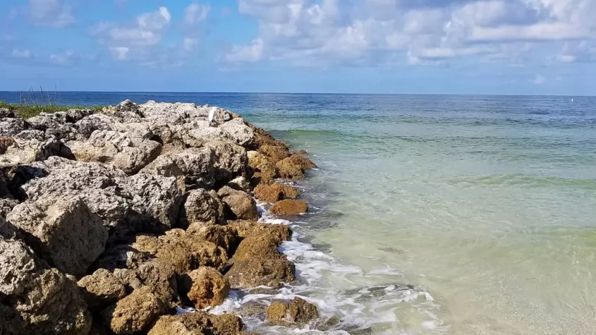 Parque de Little Hickory Island