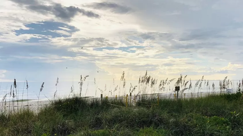 Parque de Little Hickory Island