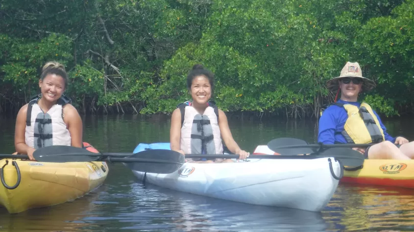 Kayak los manglares