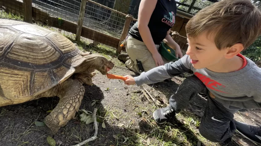 Tierische Begegnung