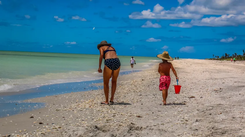 Island Inn Sanibel Shelling 2023