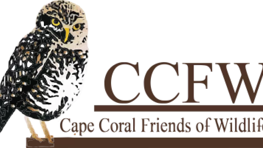 CCFW-Logo