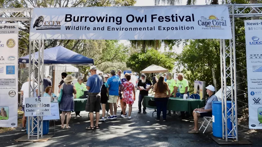 Burrowing Owl Festival