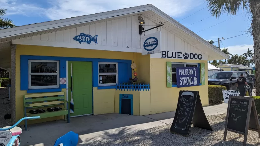 Blue Dog Bar & Grill | Visit Fort Myers | SW Florida