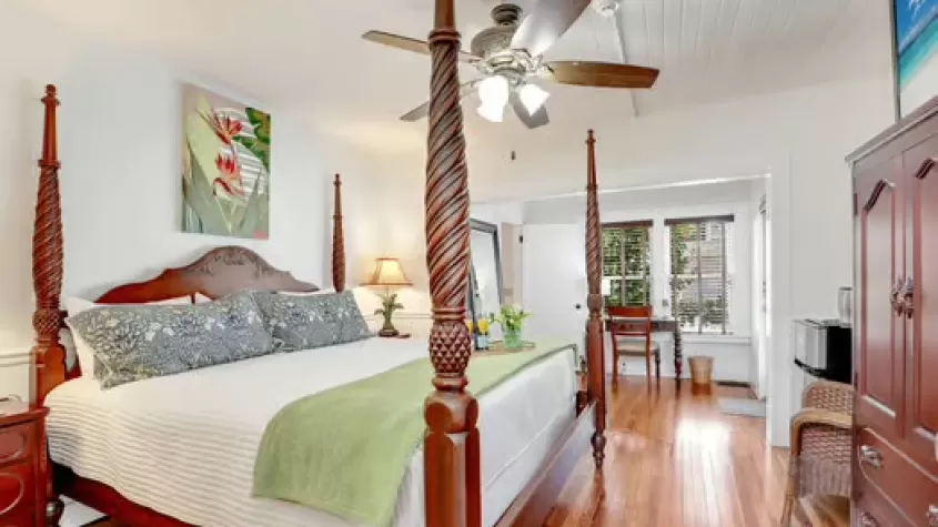 Parrot Room