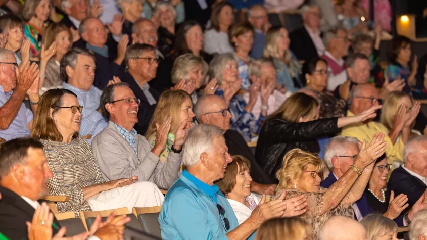 BIG ARTS Audience