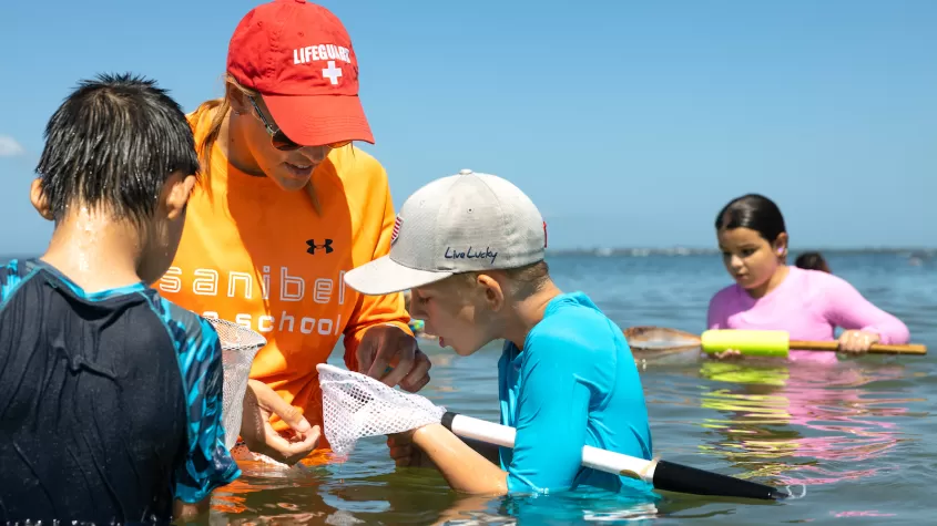 kids in the water looking in net
