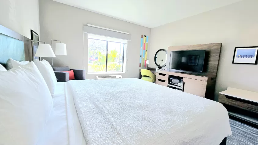 Single King Room