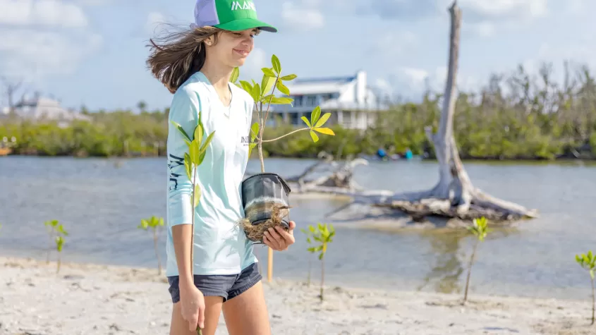 person walking carrying mangrove in pot