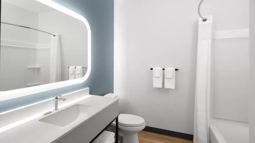 Suite Bathroom