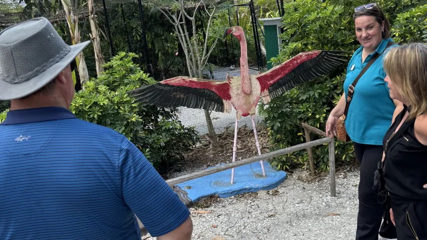 Tour guide talking about flamingos at Wonder Gardens in Bonita Springs