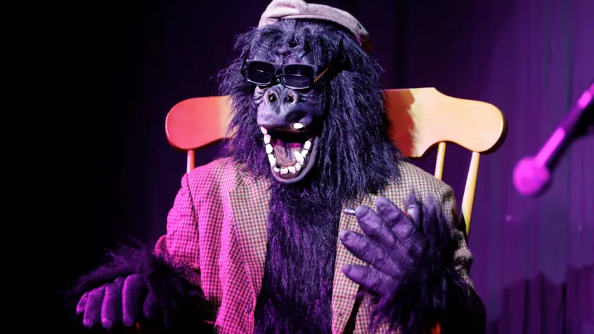 Fort Myers Fringe - Gorilla!
