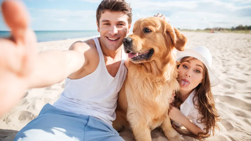 Pet-friendly vacation rental options in Fort Myers Beach, Florida, welcoming guests and their furry companions for a coastal getaway.