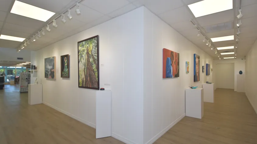 Bright contemporary gallery with white walls, wood-look flooring, and track lighting. Framed paintings hang along both sides of a central partition, with several artworks and small pieces displayed on white pedestals.