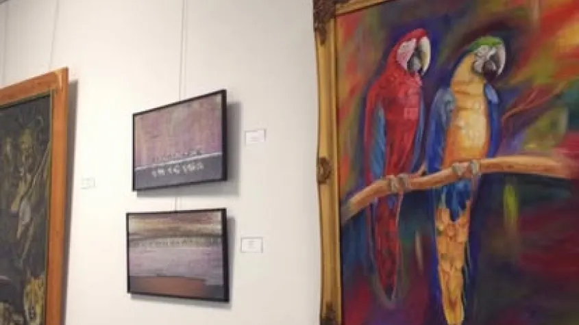 Arts of the Inland Gallery - 2