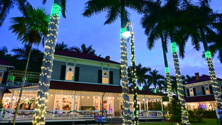 holiday nights lights on houses
