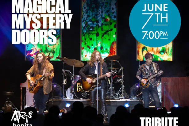 Magical Mystery Doors
