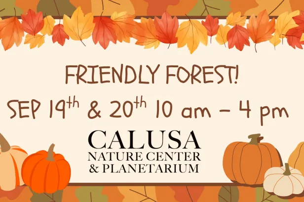 Friendly Forest
