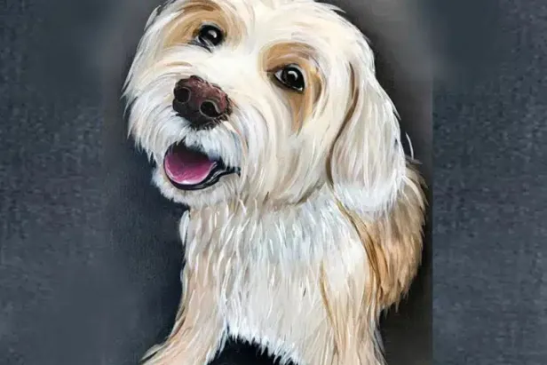 Pet Portrait Paint
