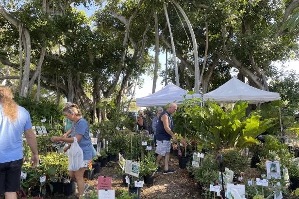 Orchid Show 2025
