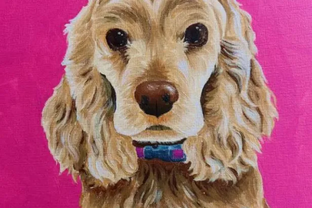 Paint your Pet
