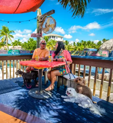 532 DogsCoupleStJamesCity.jpg