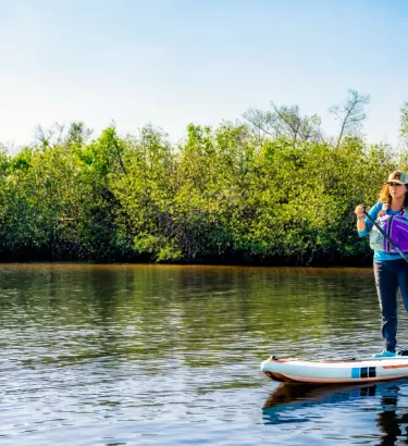 Diana paddle surf cerca de los manglares en Cape Coral