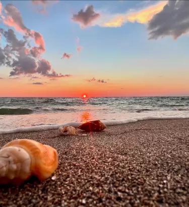 A vibrant shot of Captiva Island’s beach with seashells scattered on the shore