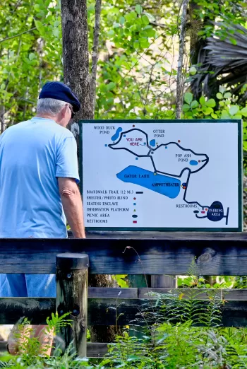 seniorenfreundlicher Wanderweg im Six Mile Cypress Slough Preserve