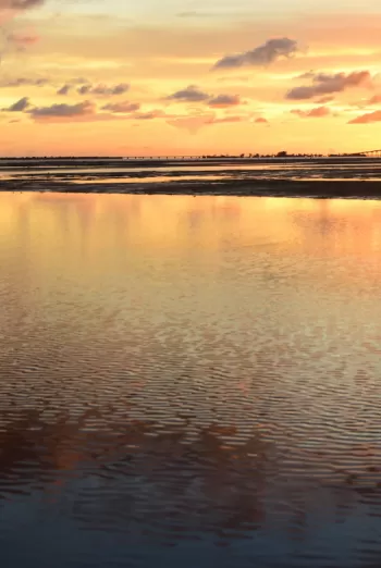 Give back to Fort Myers with your stay