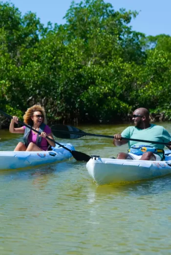 Kayakers