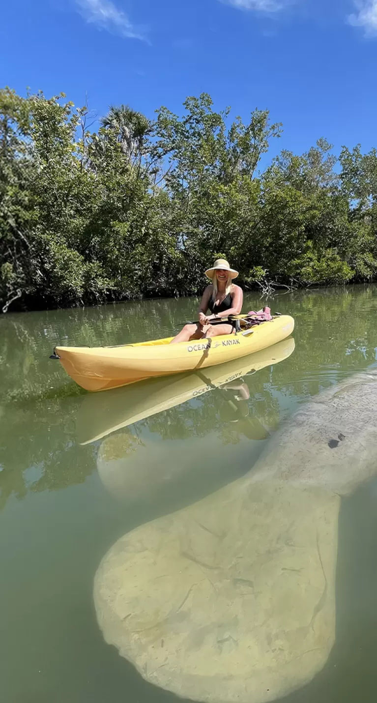Eine Frau beim Kajakfahren auf dem Wasser neben einer Seekuh